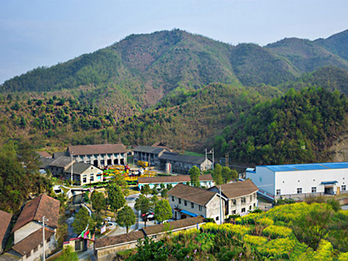 热烈祝贺开云综合app（中国）开云科技有限公司正式上线！